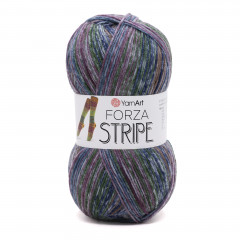 Forza Stripe